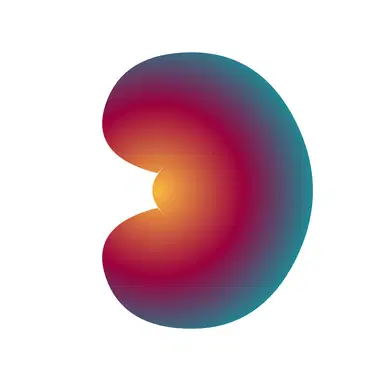 KidneyColor